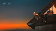 The Tale of